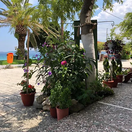 Appartement Mangoseaview *