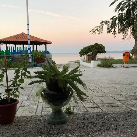 Mangoseaview
