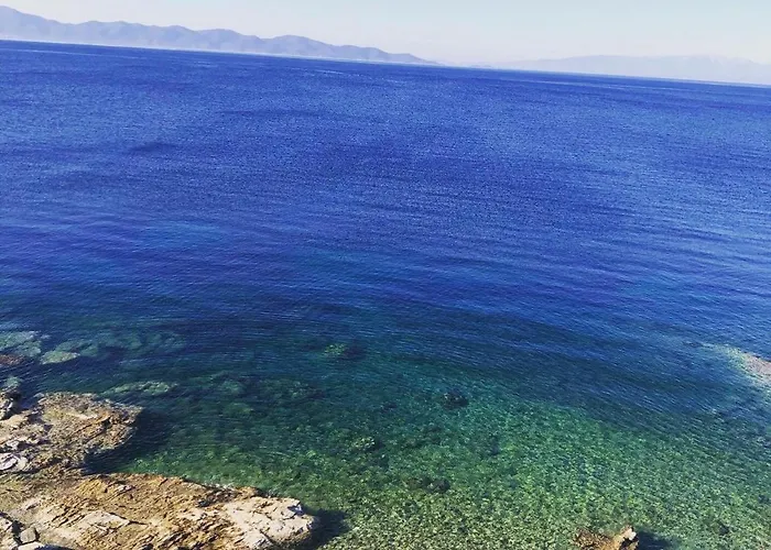 Mangoseaview Nea Roda