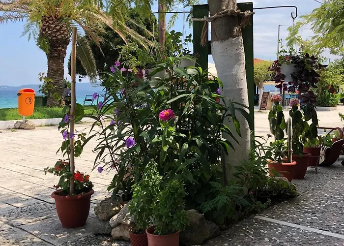 Apartamento Mangoseaview *